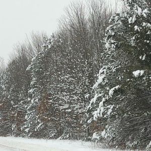 Meet your Posher, Bobbiejo